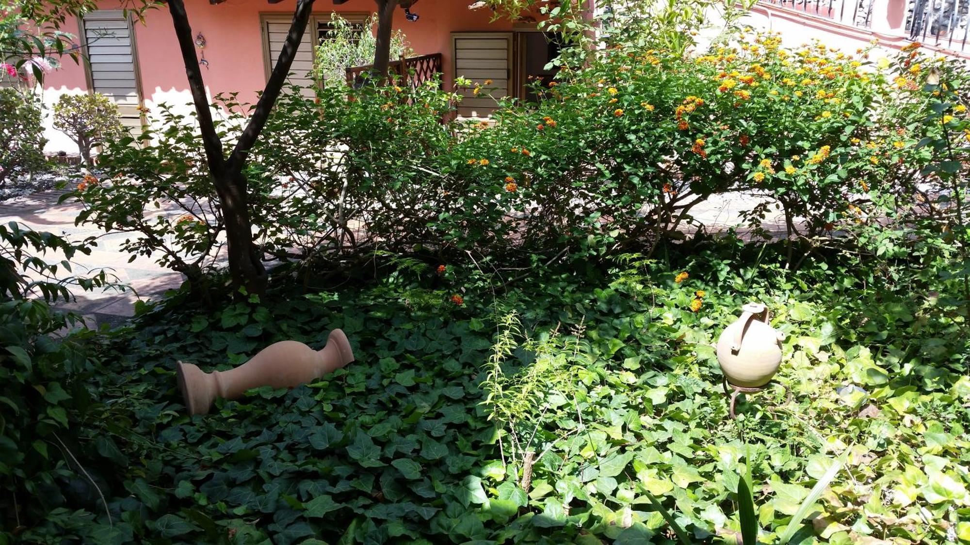 Villa Carmelas Ταορμίνα Εξωτερικό φωτογραφία