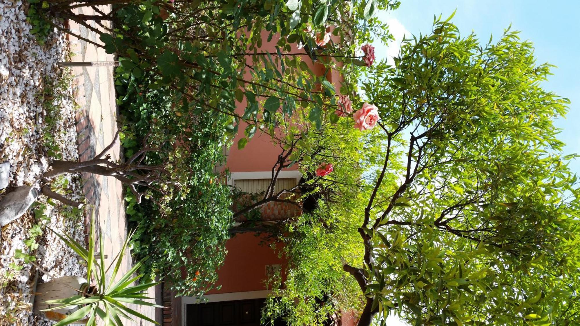 Villa Carmelas Ταορμίνα Εξωτερικό φωτογραφία