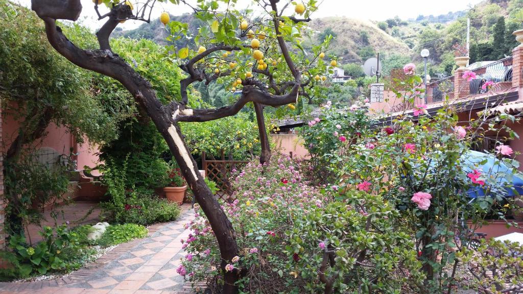 Villa Carmelas Ταορμίνα Εξωτερικό φωτογραφία